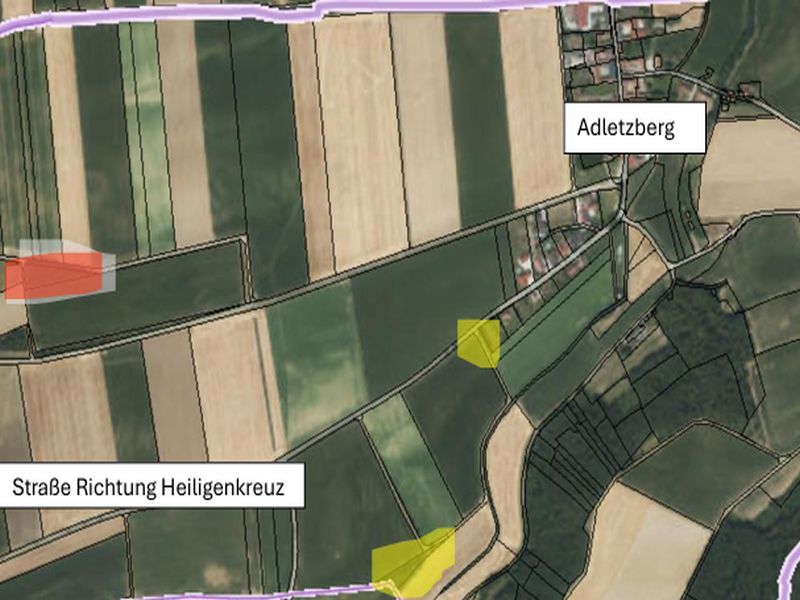 aa_Brennholzversteigerung_Bild_2026.jpg