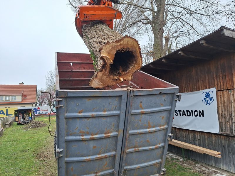 aa_Schaden_Baum_2026-03-31.jpg